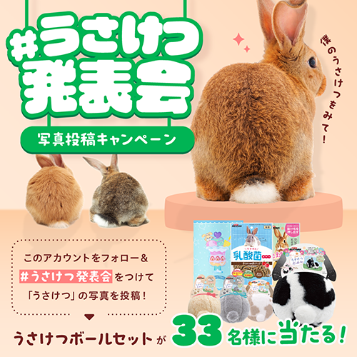 うさケツ発表会 写真投稿キャンペーン