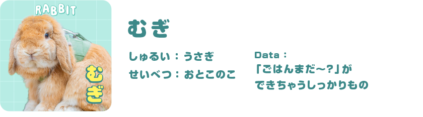 むぎ