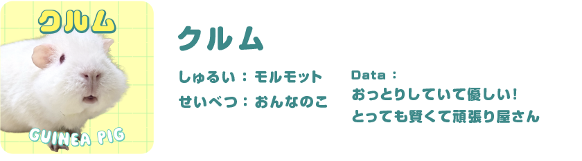 クルム
