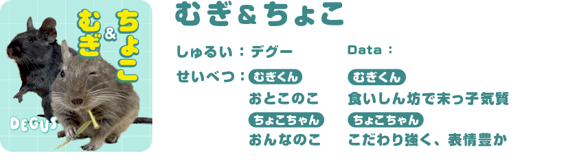 むぎ&ちょこ