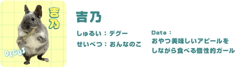 吉乃