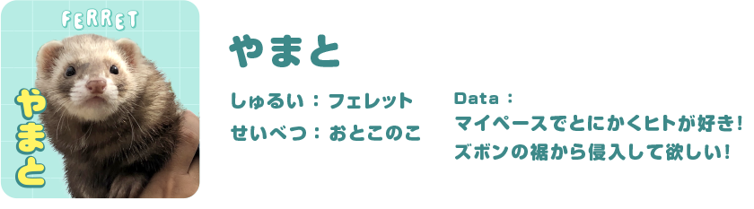 やまと