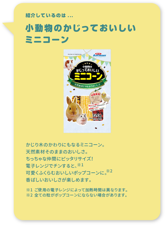紹介しているのは...小動物のかじっておいしい　ミニコーン