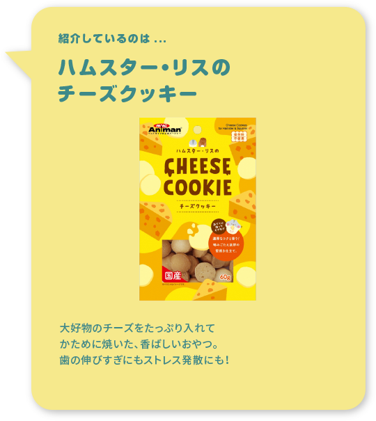 紹介しているのは...ハムスター・リスのチーズクッキー