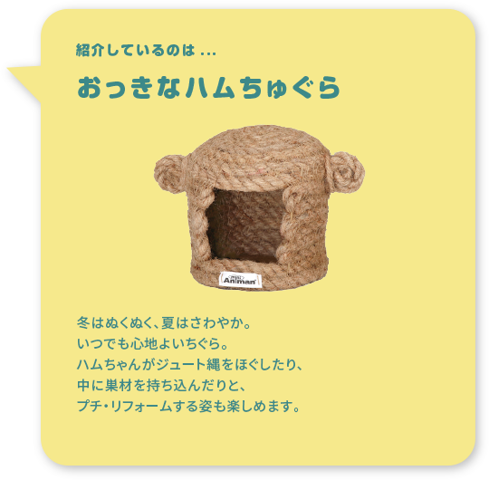 紹介しているのは...おっきなハムちゅぐら